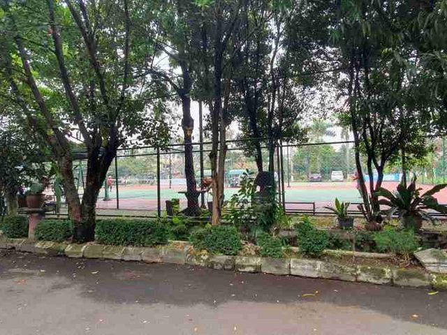 place photo 4