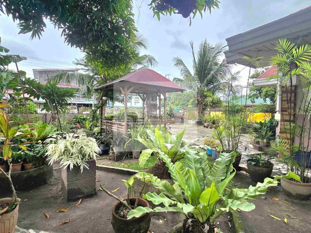place photo 23