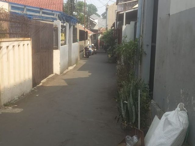 place photo 11