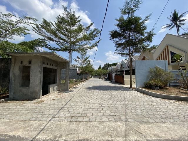 place photo 6