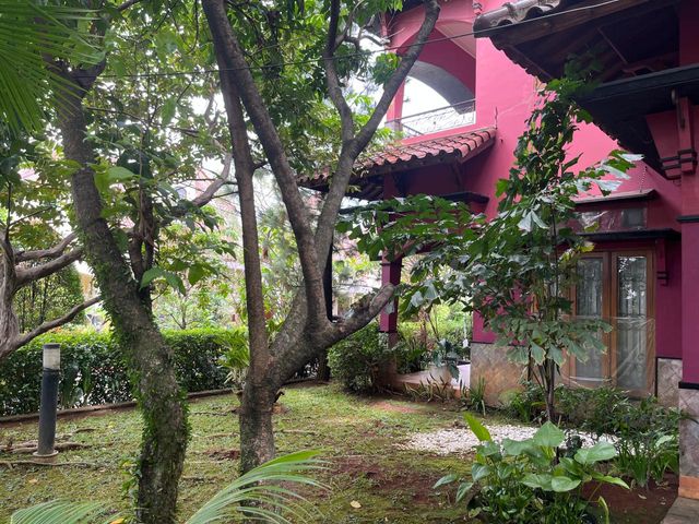 place photo 41
