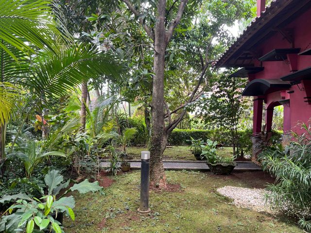 place photo 42