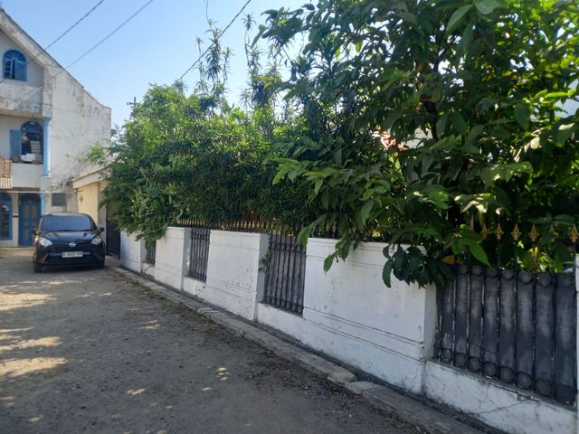 place photo 17