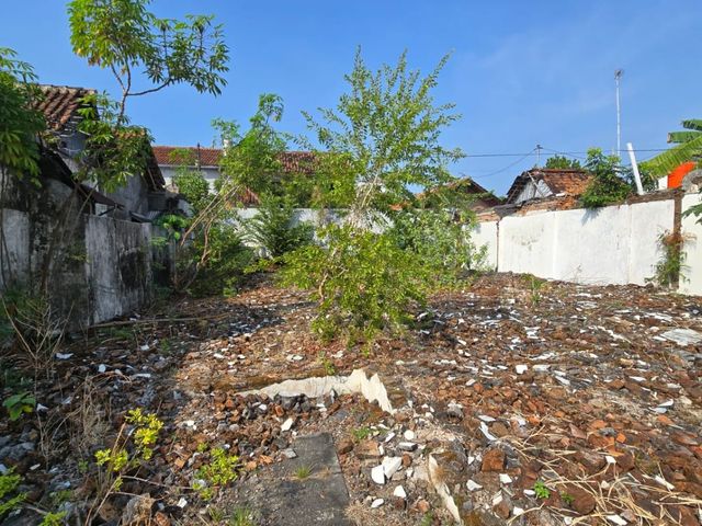 place photo 15