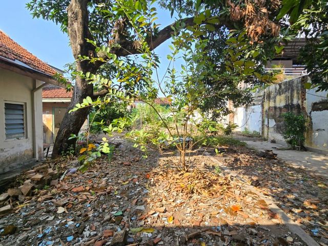 place photo 20