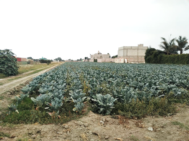 Terreno De 2,666m2 A Pie De Calle En Zerezotla Cerca Del Cerro Zapoteca.