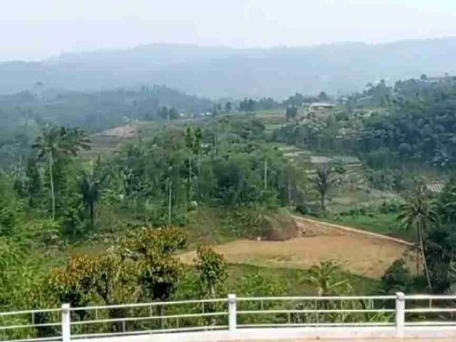 place photo 24