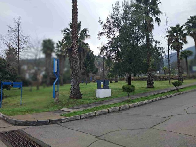 place photo 27