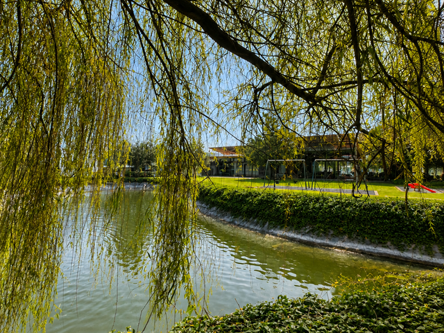 place photo 45