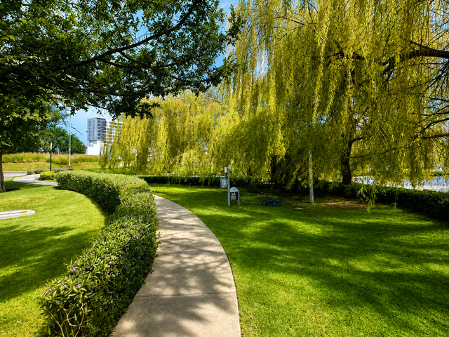 place photo 44