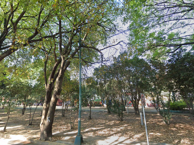place photo 6