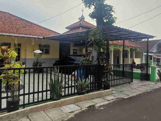 place photo 2