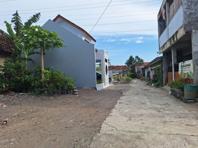 place photo 14