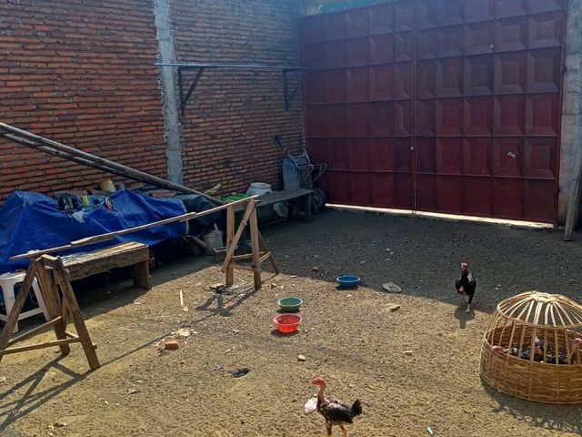 place photo 8