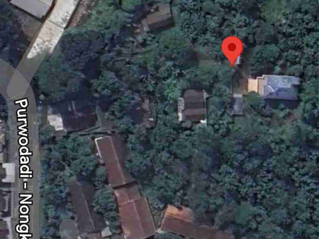 place photo 12