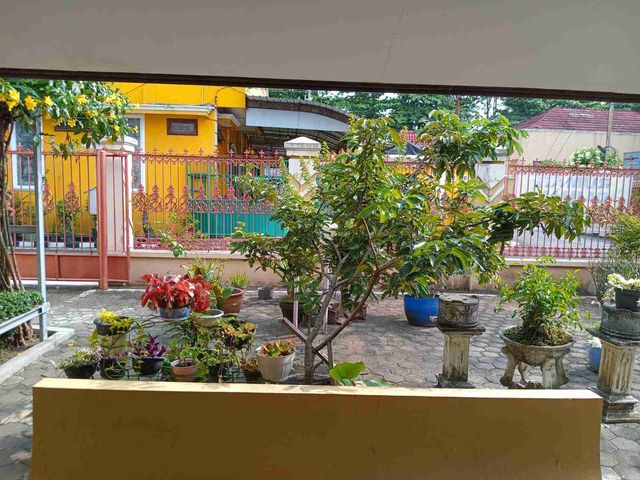 place photo 3