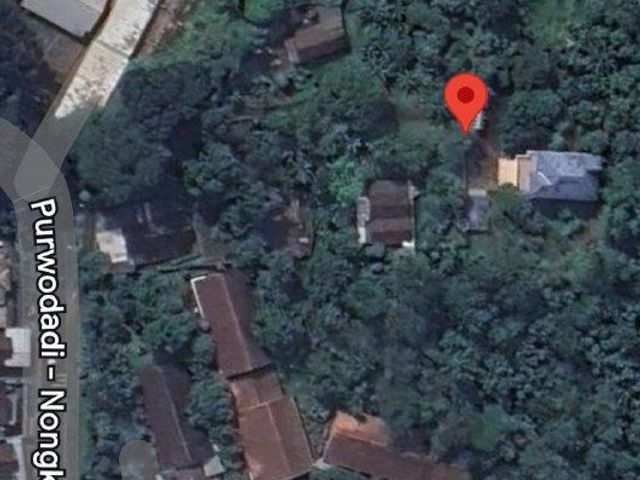 place photo 11
