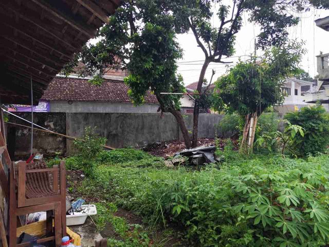 place photo 17