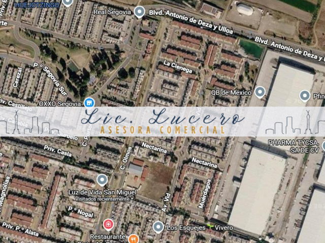 place photo 8