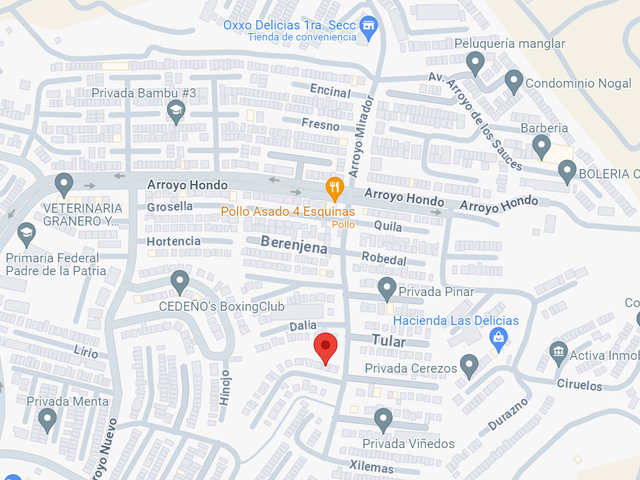 place photo 17