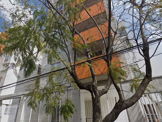 place photo 20