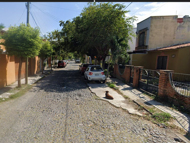 place photo 16