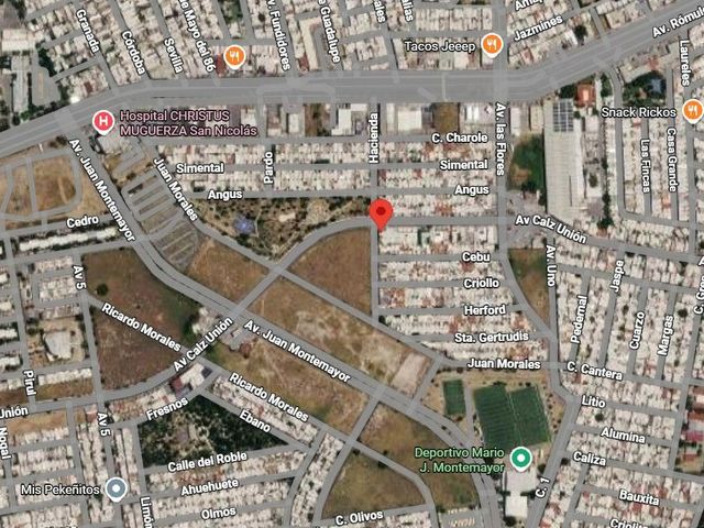 place photo 8