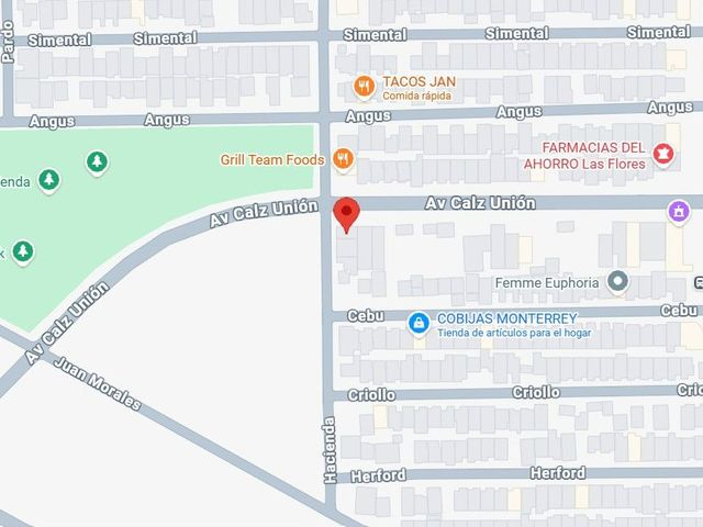 place photo 10