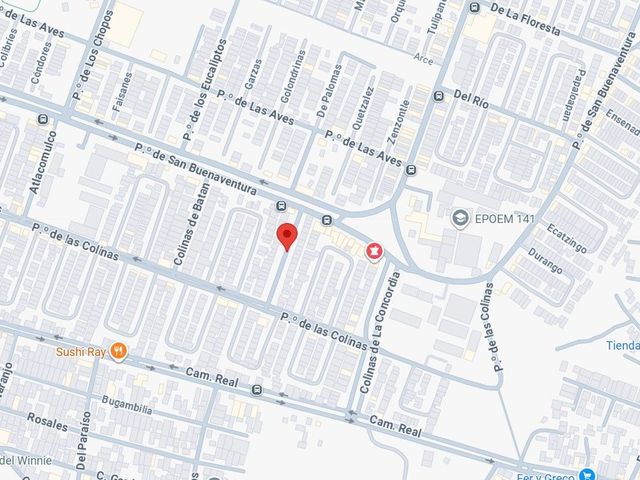 place photo 7
