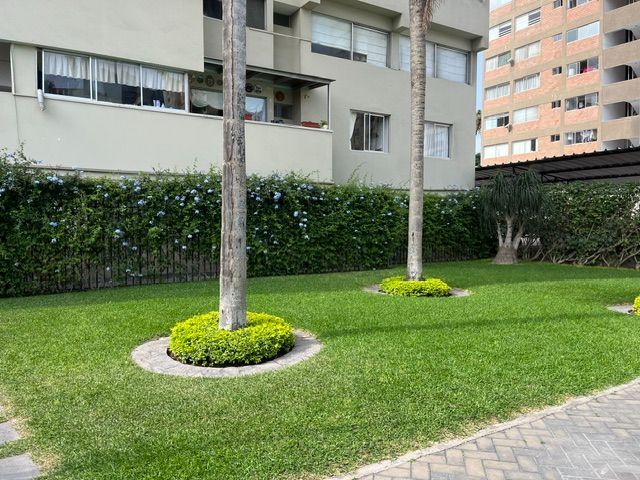 place photo 33