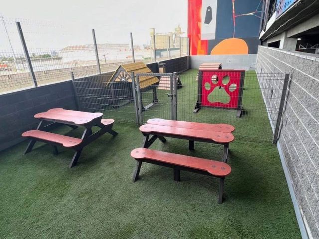 place photo 34