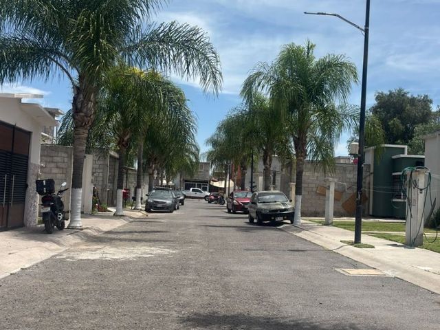 place photo 15