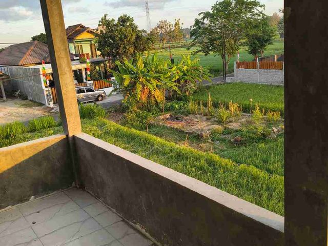 place photo 16