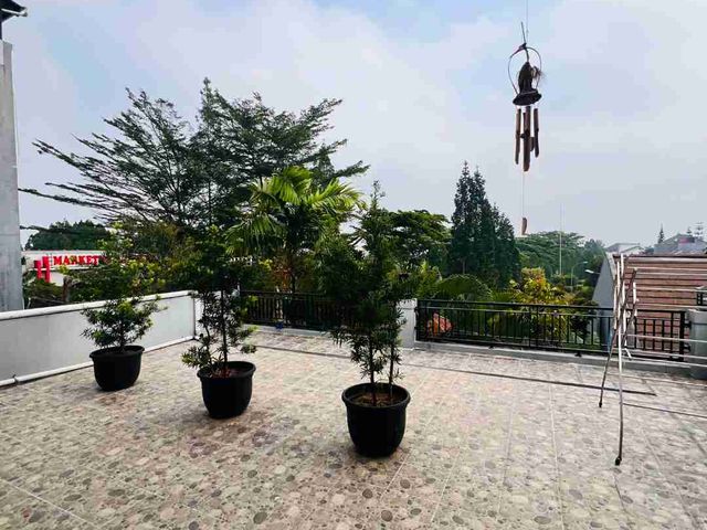 place photo 23