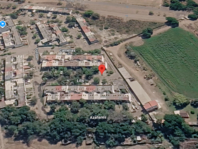 place photo 13