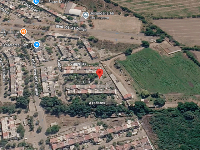 place photo 11