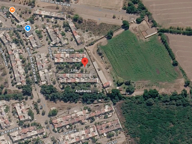 place photo 12