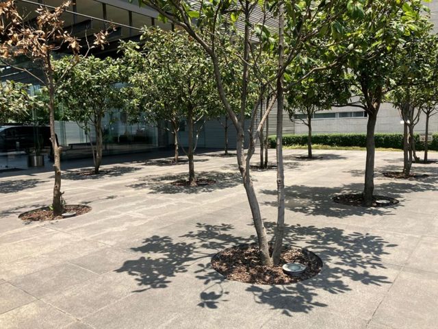 place photo 22