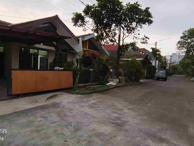 place photo 16