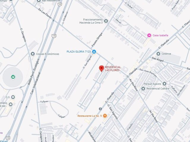 place photo 21