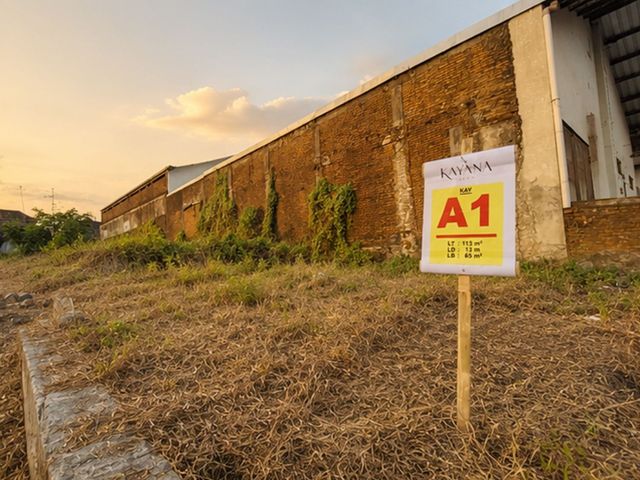 place photo 5