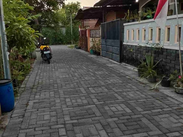 place photo 15