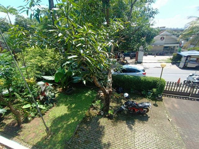 place photo 19