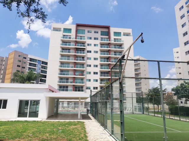 place photo 11
