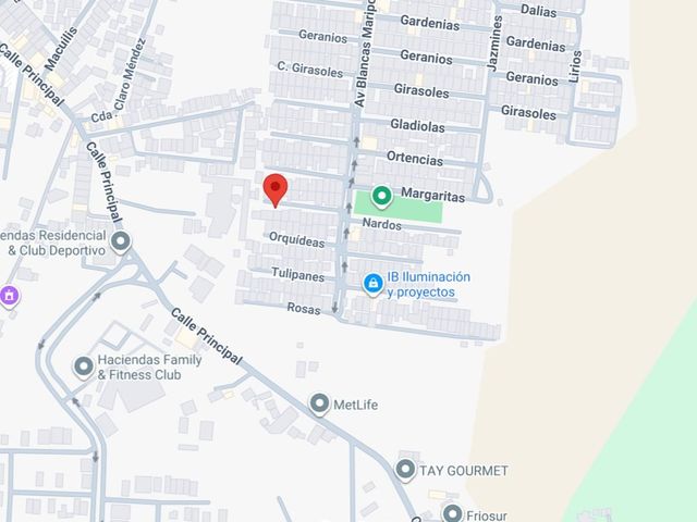 place photo 6