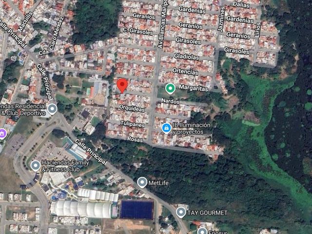 place photo 8