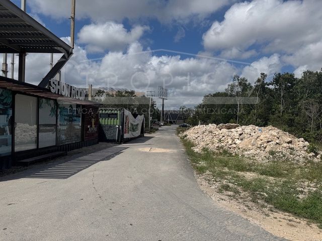 place photo 17
