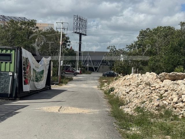 place photo 18