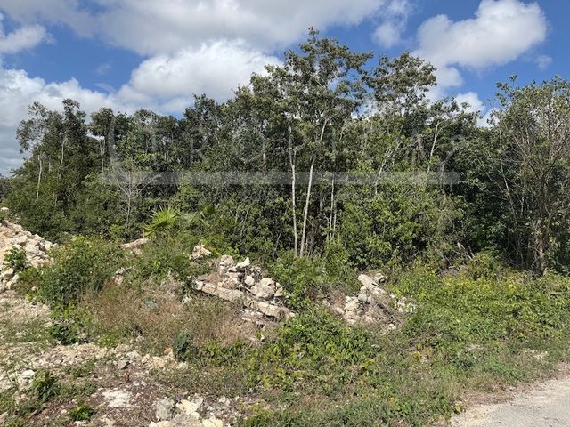 place photo 22