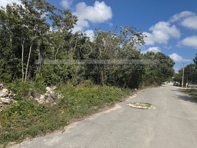 place photo 23